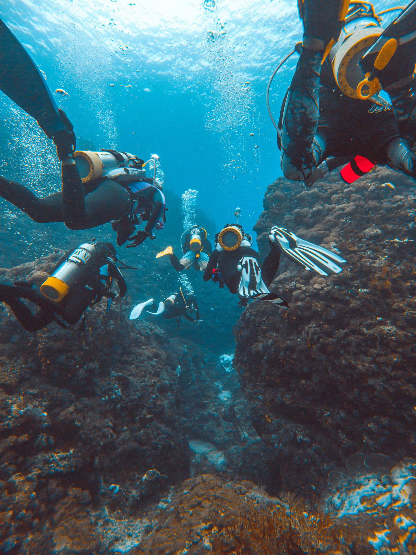 A group of divers swims underwater near coral formations, equipped with scuba gear and fins, exploring the marine environment.