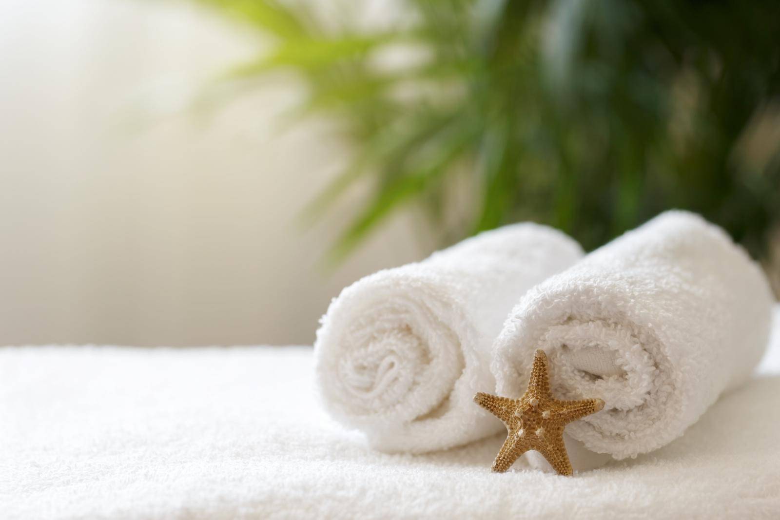 Two rolled white towels with a small starfish in front, set against a blurred green plant background.